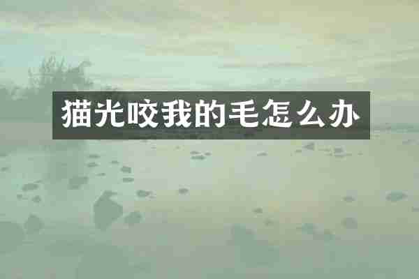 猫光咬我的毛怎么办