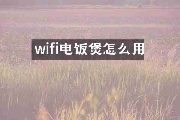 wifi电饭煲怎么用