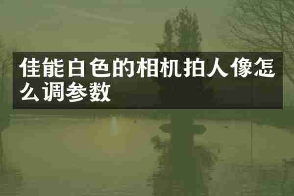 佳能白色的相机拍人像怎么调参数