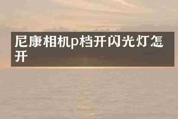 尼康相机p档开闪光灯怎么开