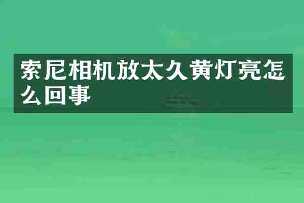 索尼相机放太久黄灯亮怎么回事