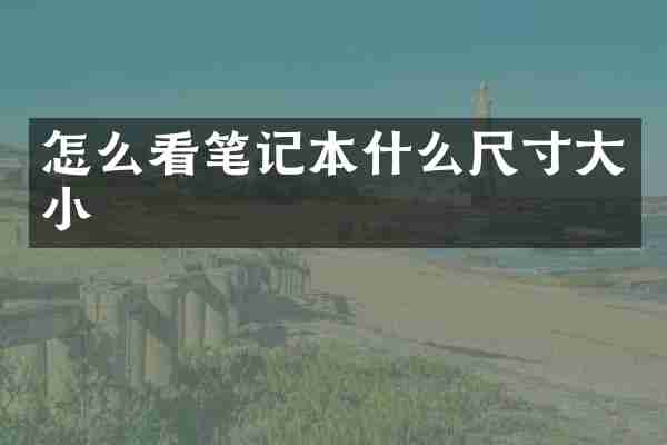 怎么看笔记本什么尺寸大小