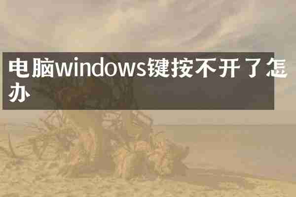 电脑windows键按不开了怎么办