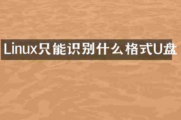 Linux只能识别什么格式U盘