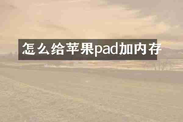 怎么给苹果pad加内存