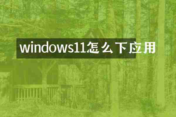 windows11怎么下应用
