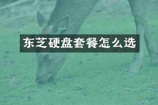 东芝硬盘套餐怎么选