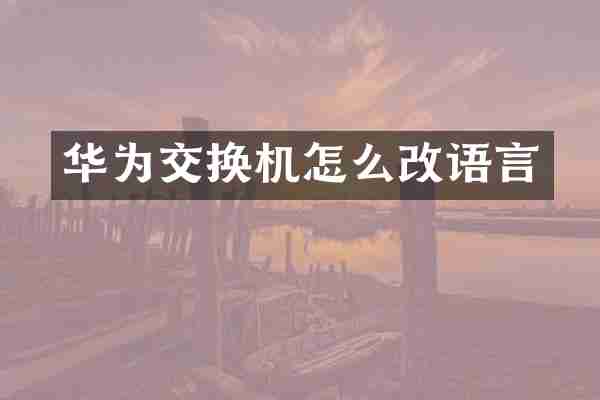 华为交换机怎么改语言