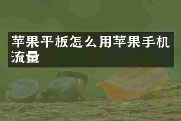 苹果平板怎么用苹果手机流量