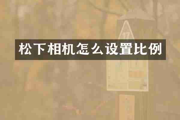 松下相机怎么设置比例