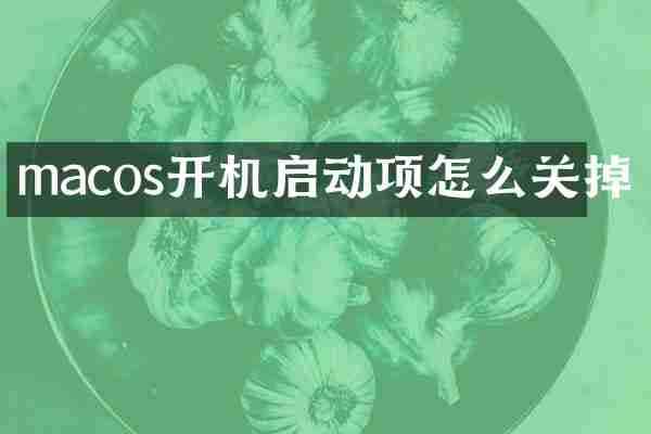 macos开机启动项怎么关掉