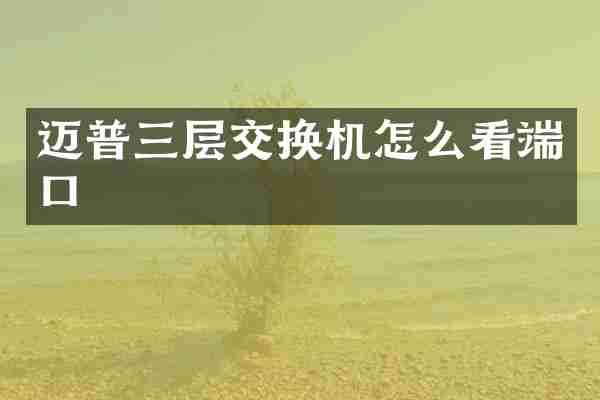 迈普三层交换机怎么看端口