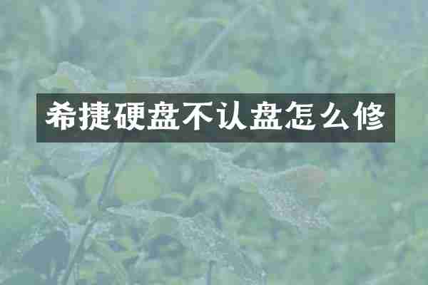 希捷硬盘不认盘怎么修