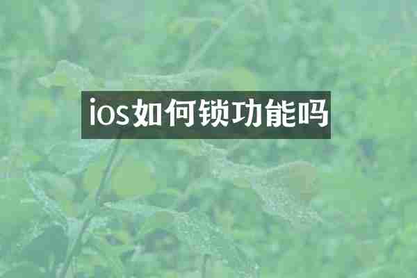ios如何锁功能吗