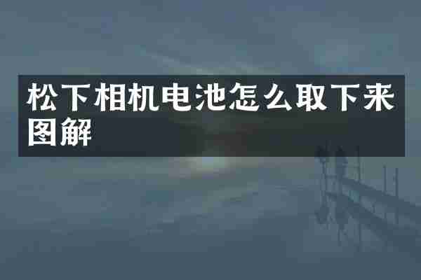 松下相机电池怎么取下来图解