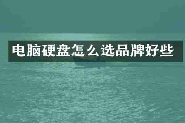 电脑硬盘怎么选品牌好些