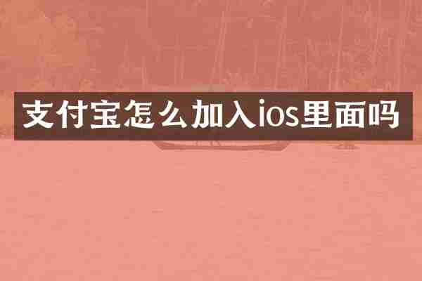 支付宝怎么加入ios里面吗