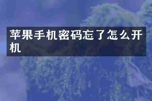 苹果手机密码忘了怎么开机