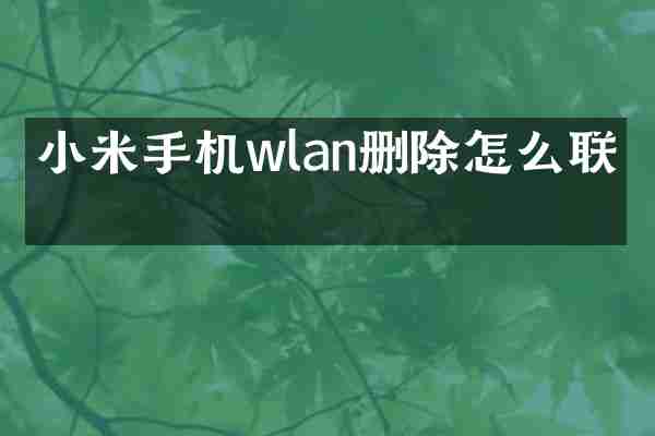 小米手机wlan删除怎么联网