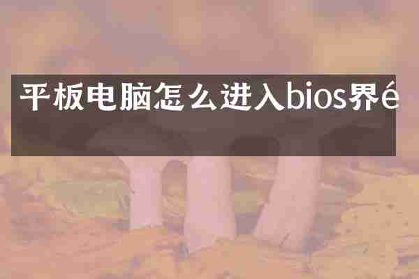 平板电脑怎么进入bios界面