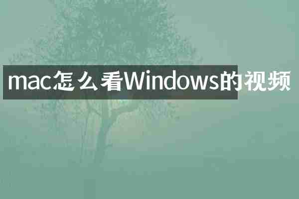 mac怎么看Windows的视频