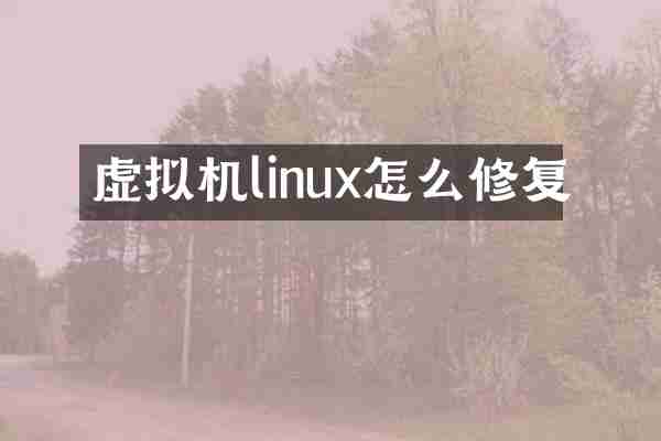 虚拟机linux怎么修复