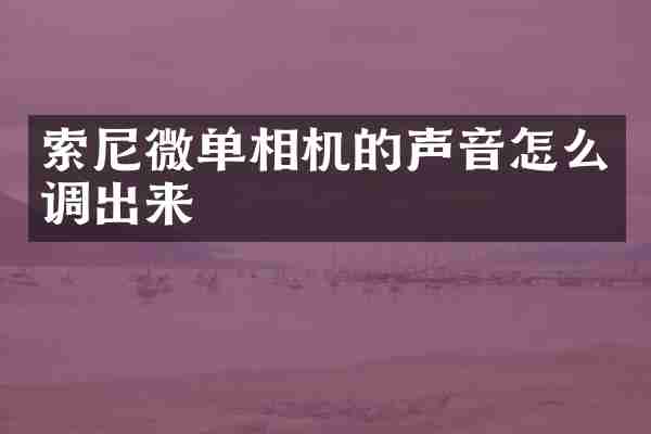 索尼微单相机的声音怎么调出来