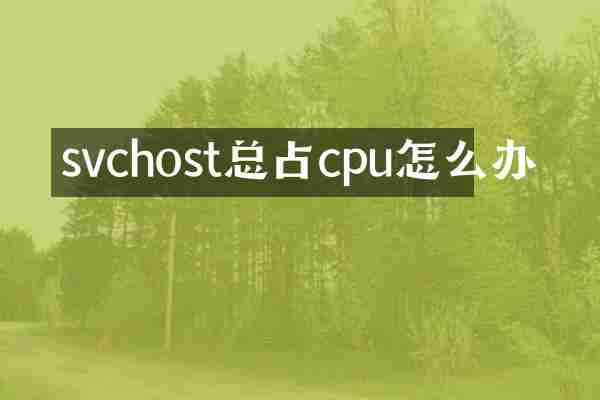 svchost总占cpu怎么办