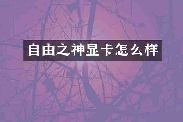 自由之神显卡怎么样
