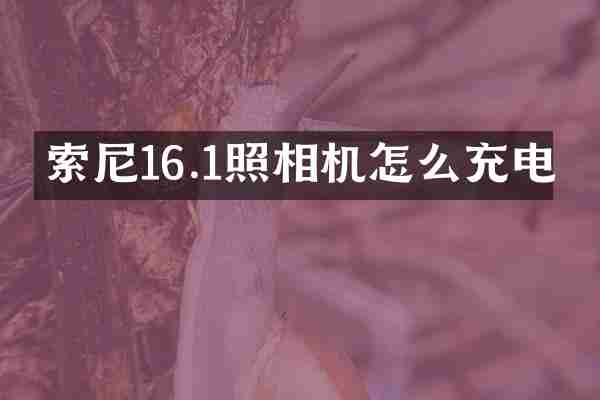 索尼16.1照相机怎么充电