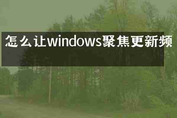 怎么让windows聚焦更新频繁