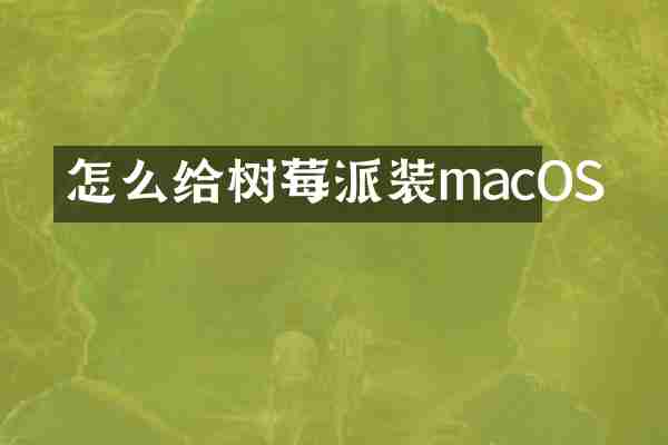 怎么给树莓派装macOS