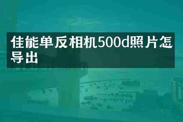 佳能单反相机500d照片怎么导出