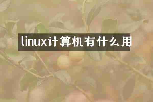 linux计算机有什么用
