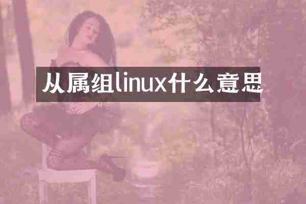 从属组linux什么意思