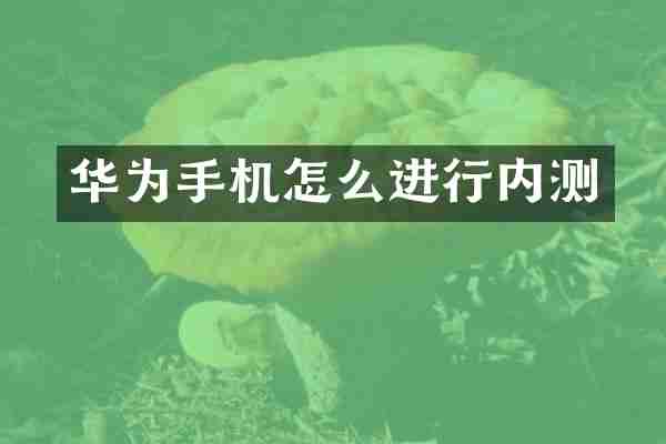 华为手机怎么进行内测