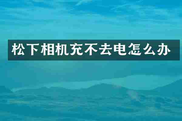 松下相机充不去电怎么办