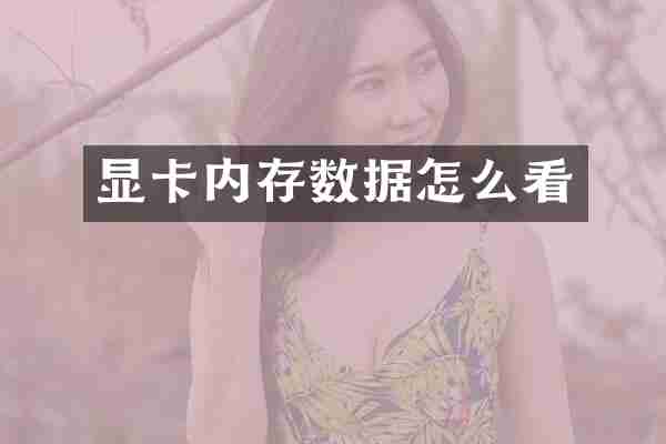 显卡内存数据怎么看