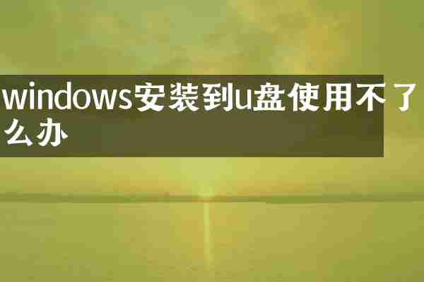 windows安装到u盘使用不了怎么办