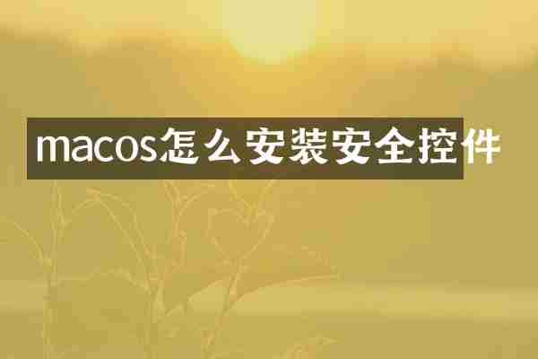 macos怎么安装安全控件