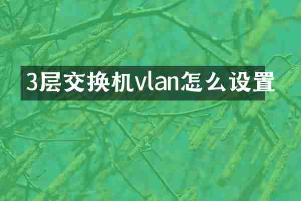 3层交换机vlan怎么设置