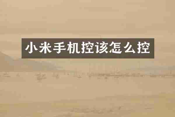 小米手机控该怎么控