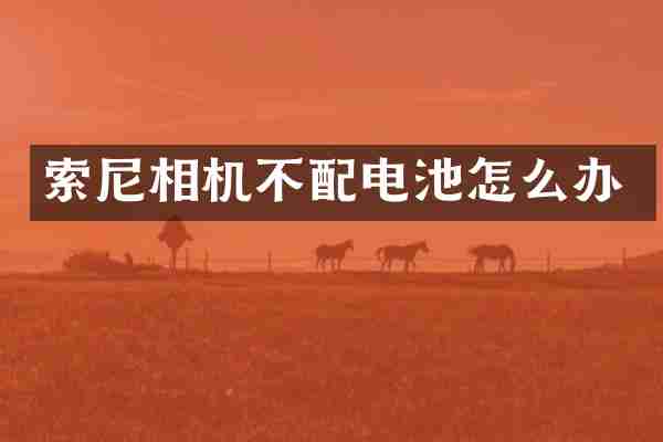 索尼相机不配电池怎么办