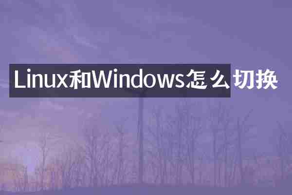Linux和Windows怎么切换