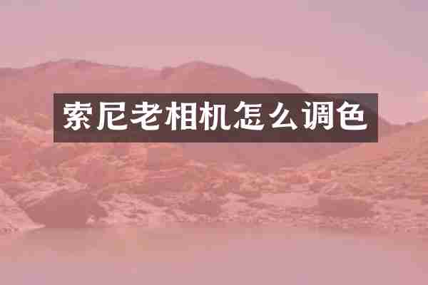 索尼老相机怎么调色