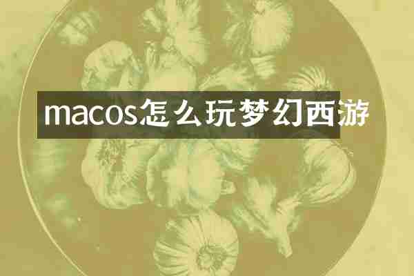 macos怎么玩梦幻西游