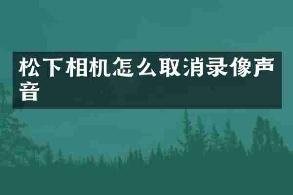 松下相机怎么取消录像声音