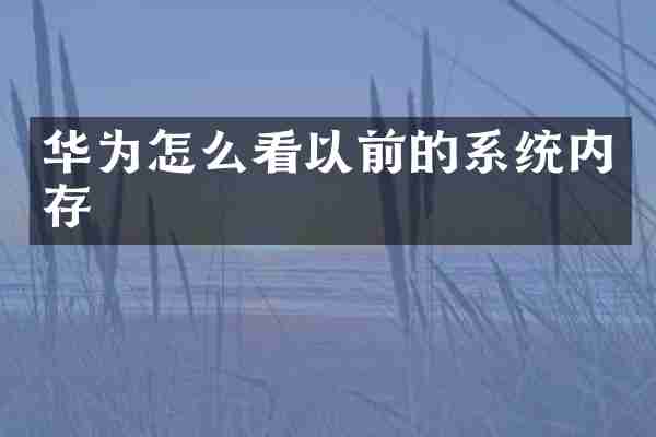 华为怎么看以前的系统内存
