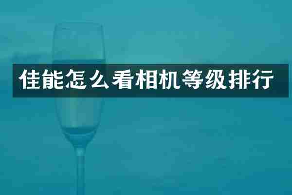 佳能怎么看相机等级排行