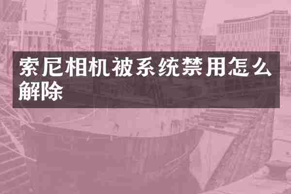 索尼相机被系统禁用怎么解除